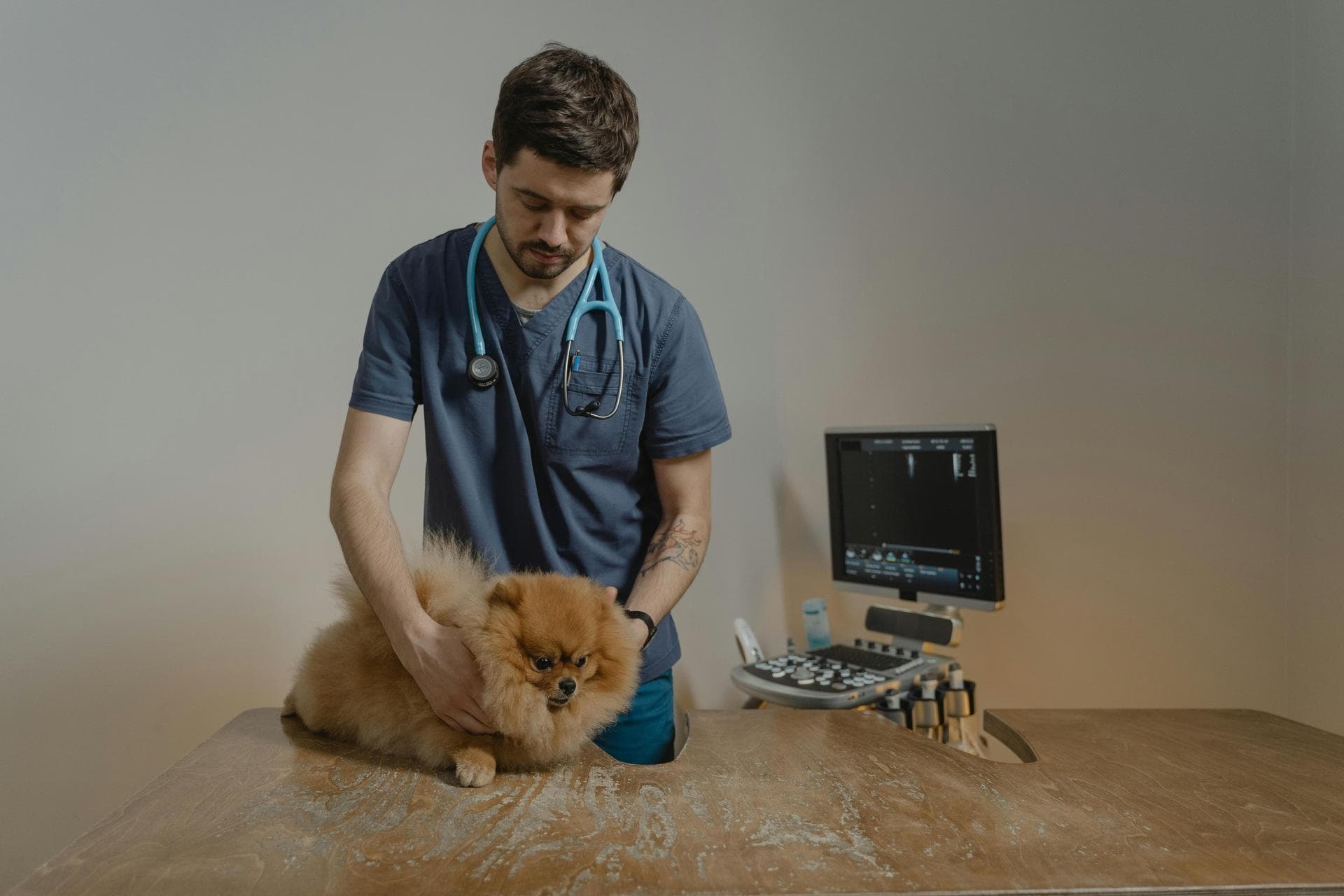 Best Vets in Melbourne